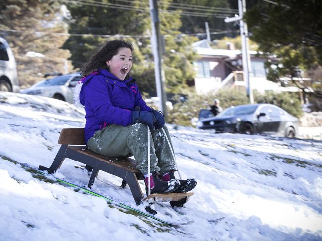 Pepa Ortega, 7, of South Hobart, rides a sled Fern Tree. Picture: Chris Kidd