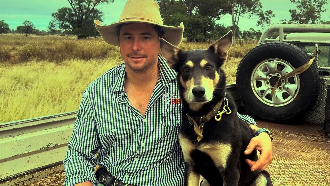 Tom Perkins and his kelpie, Bear, are in the running for the coveted title of Australia's hardest working dog.