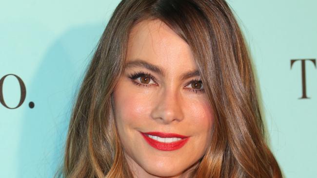 Sofia Vergara’s legal battle with her ex just took a bizarre turn. Picture: Frederick M. Brown/Getty Images/AFP