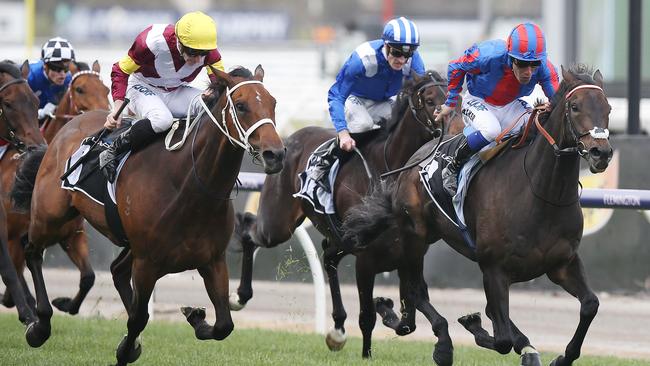 Prince of Arran, right, wins the Lexus Stakes, with Jaameh, second from right, finishing third. Picture: Michael Klein