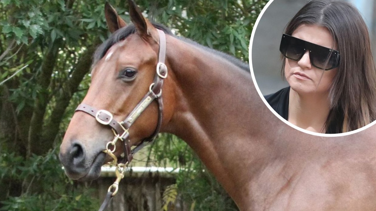 Fallen racehorse retrainer handed 10-year ban