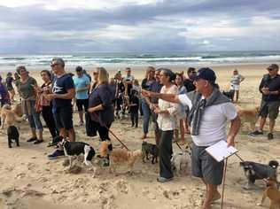 Salt and Casuarina residents are calling for dogs to be allowed to share the beach. Picture: Mark Grunwald