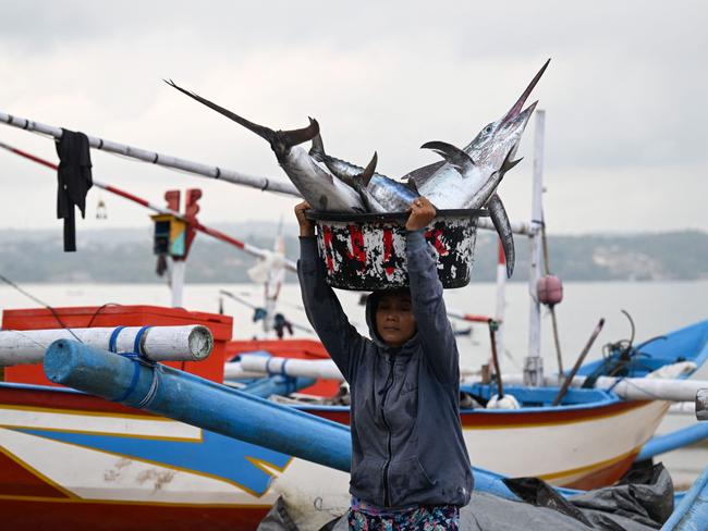 A woman carries a bucket on her head with two caught marlin at a beach in Kedonganan, Bali. Picture: Sonny Tumbelaka/AFP