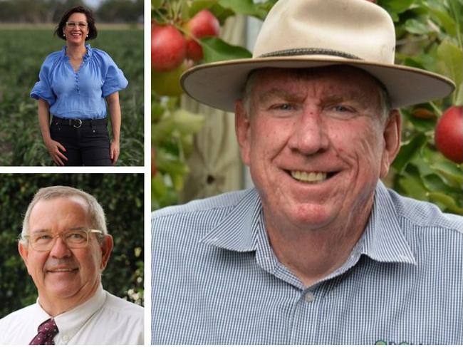 It's going to be a tight race for both Southern Downs and Goondiwindi Region local government elections.