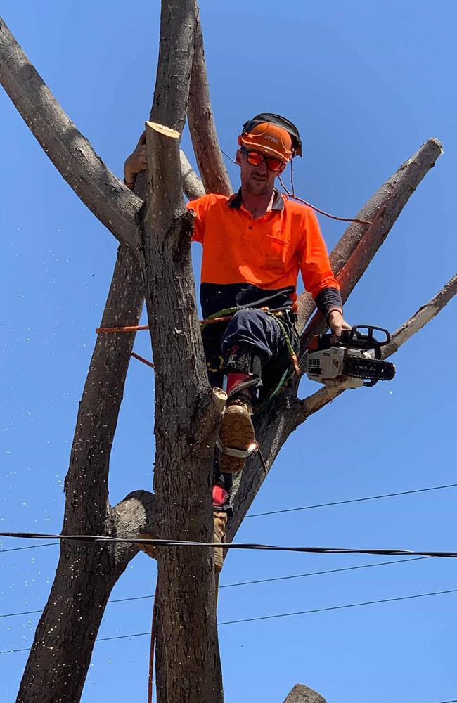 Martin Wheeler ran a tree lopping business, Wheeler Tree Services.