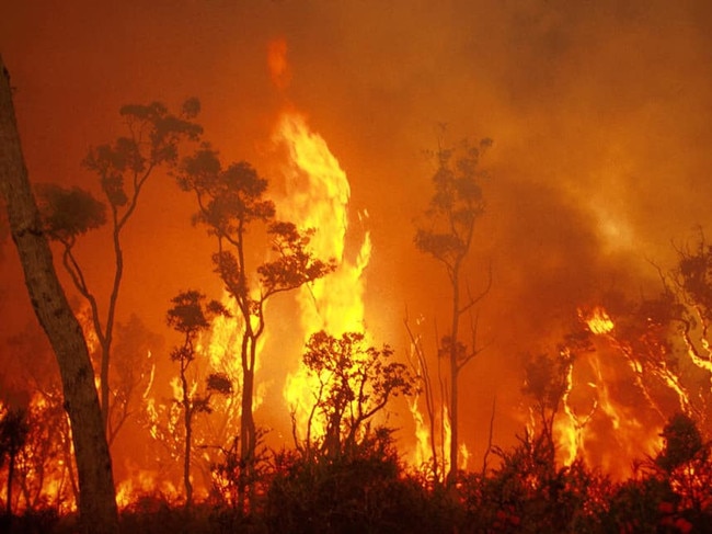 The current bushfire emergency shows no sign of easing in northern NSW & southern Queensland. Areas hard hit include Qld towns of Canungra, Sarabah, Stanthorpe, Applethorpe & across into NSW the towns of Tenterfield, Drake & Angourie south of Yamba. Picture: Fire & Rescue NSW Station 468