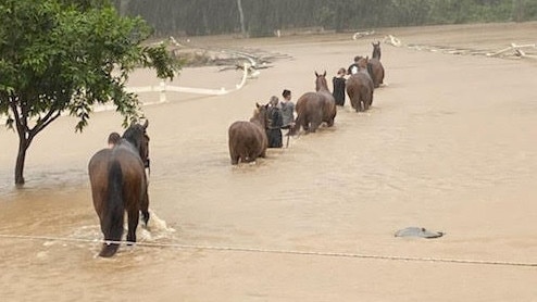 The Turners leading their horses out of the floodwaters in the Port Macquarie region last week.