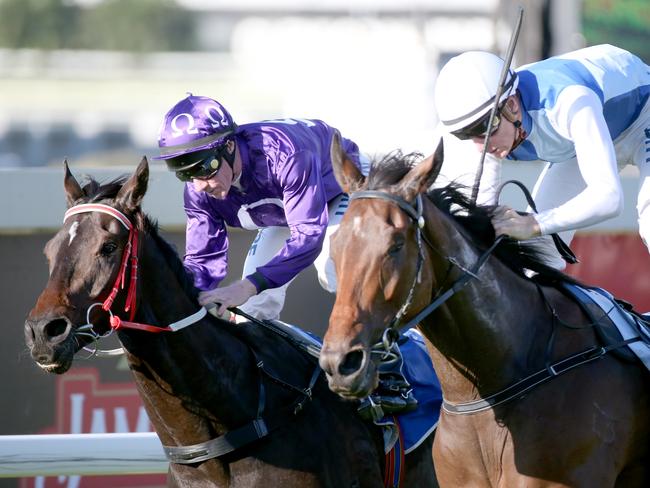 Couldn’t split them: Rudy (outside) and Jumbo Prince dead-heat. Picture: Jono Searle