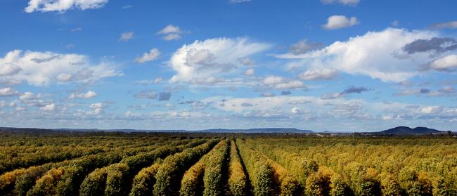 Canada’s calling: Public Sector Pension Investment Board-owned Stahmann Farms.