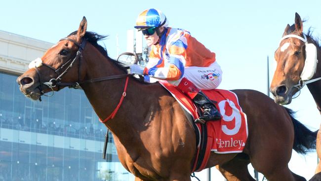 Bellatrix Star ridden by Craig Williams wins the Henley Homes Schillaci Stakes at Caulfield Racecourse on October 12, 2024 in Caulfield, Australia. (Photo by Brett Holburt/Racing Photos via Getty Images)