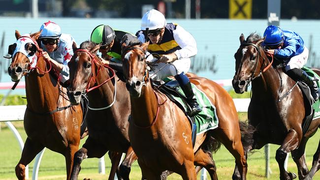 Lady Laguna will not run in Saturday’s Coolmore Classic. Picture: Jeremy Ng/Getty Images