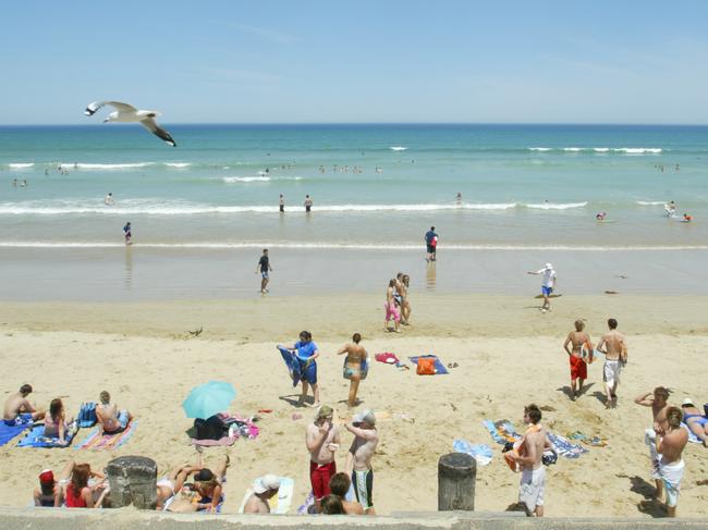 ocean grove beach. locals enjoy their beach ,"not affraid of the shark"