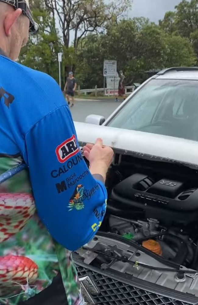 Stuart McKenzie, owner of Sunshine Coast Snake Catchers, was called out to the Currimundi job. When he popped open the bonnet he found … Picture: Storyful