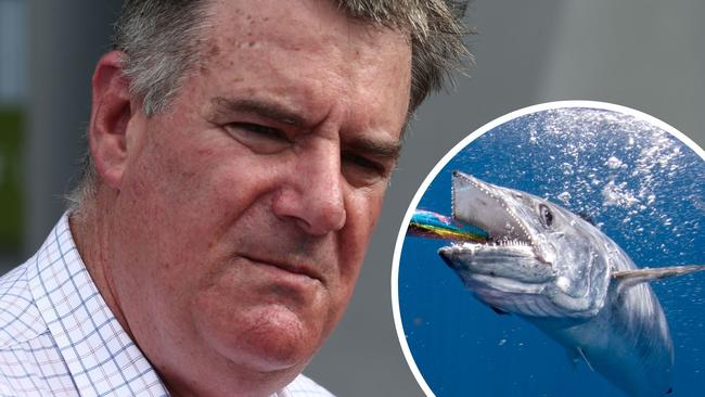 Fisheries Minister Mark Furner was grilled about forthcoming cuts to Spanish mackerel catch quotas during budget estimates.