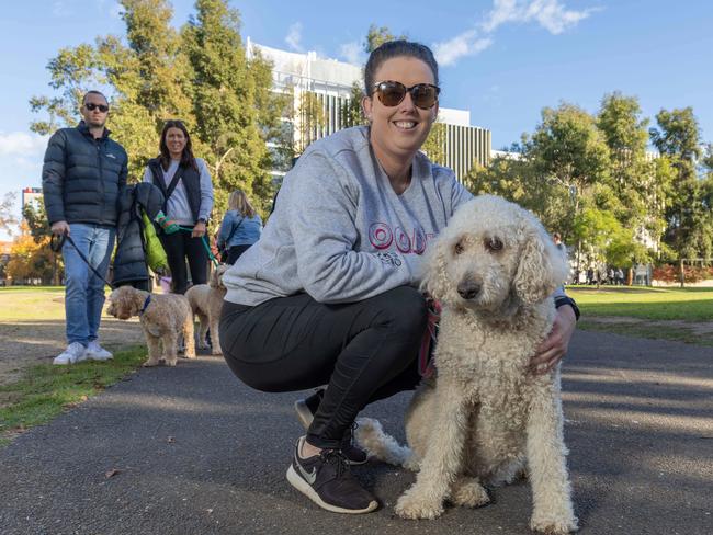 RSPCA SA's Million Paws Walk in Adelaide on May 25, 2025. Picture: Ben Clark