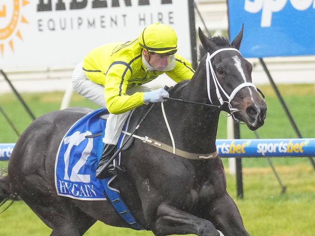 I Am Velvet ridden by Blake Shinn wins the Trusteel Fabrications Handicap at Sportsbet Pakenham Synthetic track on July 15, 2024 in Pakenham, Australia. (Scott Barbour/Racing Photos via Getty Images)