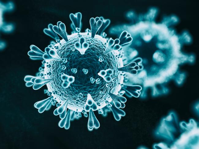 A new type of coronavirus with zoonotic crossover potential is being studied by scientists. Picture: Supplied