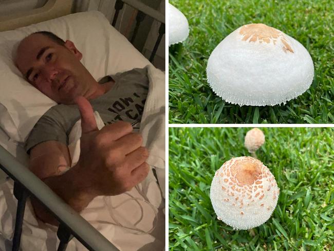 Man’s mushroom warning after wild storms