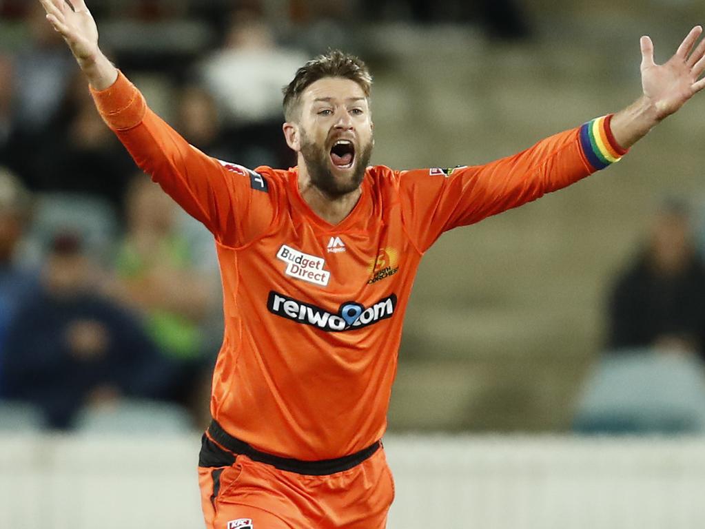 Andrew Tye of the Perth Scorchers appeals for caught behind.