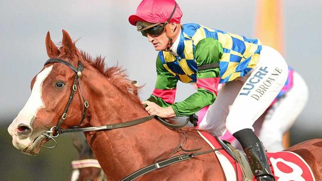 WINNER: Jockey Damian Browne rides Spur Le Jouer to win the Winter Provisional Sprinters Handicap. Picture: ALBERT PEREZ