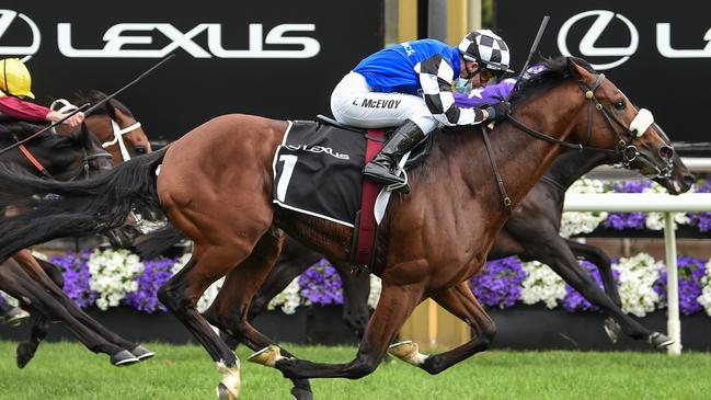 Ashrun stormed into the Melbourne Cup with victory in the Hotham Stakes. Picture: Getty Images