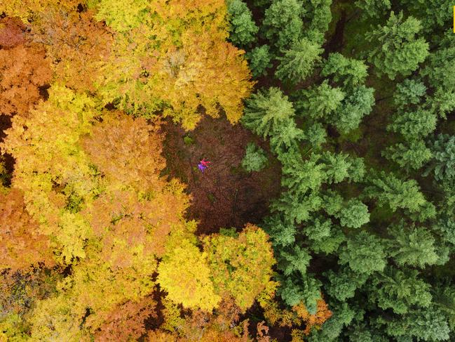 Photo by Anders Andersson / National Geographic Nature Photographer of the Year contest i can see the sky from here my daughter and her best friend on their backs in a clearing, just between planted fir forest and natural beech forest
