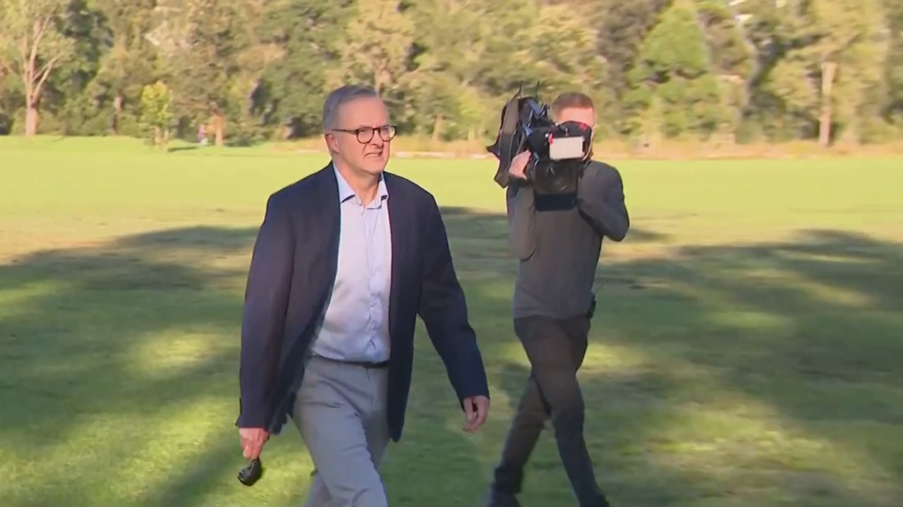 Albanese is 'free to campaign' again after finishing COVID-19 isolation