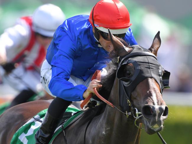 Jockey Hugh Bowman rides Flit to victory in race 7, the TAB Light Fingers Stakes, during Apollo Stakes Day at Royal Randwick Racecourse in Sydney, Saturday, February 15, 2020. (AAP Image/Simon Bullard) NO ARCHIVING, EDITORIAL USE ONLY