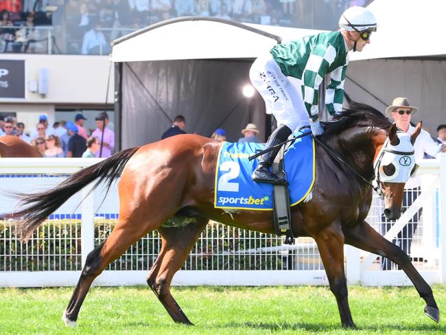 Tycoon Star ridden by Mark Zahra prior to the Sportsbet Blue Diamond Stakes at Caulfield Racecourse on February 22, 2025 in Caulfield, Australia. (Photo by Brett Holburt/Racing Photos via Getty Images)