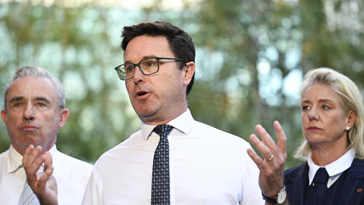 Net zero change possible as Littleproud stays in charge