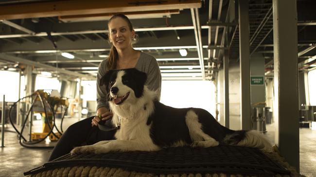 An evacuee from Mallacoota with her dog on-board MV Sycamore.