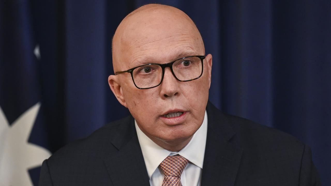 Peter Dutton was labelled ‘a thug’ by former prime minister Malcolm Turnbull. Picture: NewsWire/ Martin Ollman