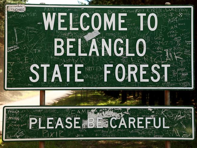 Belanglo state forest where serial killer Ivan Milat killed seven backpackers. Picture: Adam Taylor