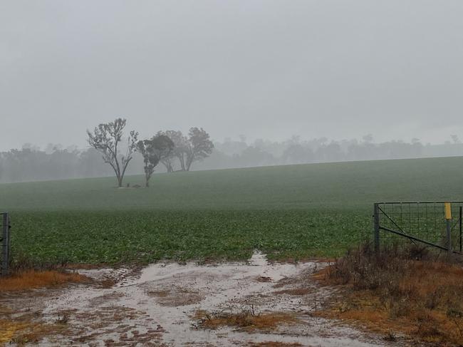 Rain across much of southern NSW and Victoria has delivered an early winter drenching in the face of El Nino predictions.