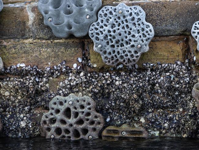 The exposed tiles at low tide. Picture: AAP Image / Julian Andrews