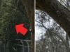 The very Aussie fact that even locals are surprised to learn