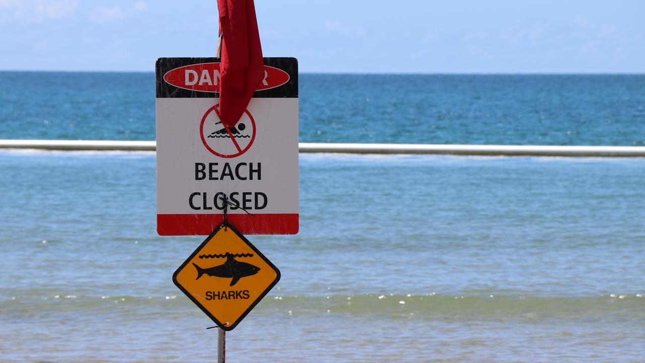 Four Mile Beach closed due to shark sighting The Cairns Post