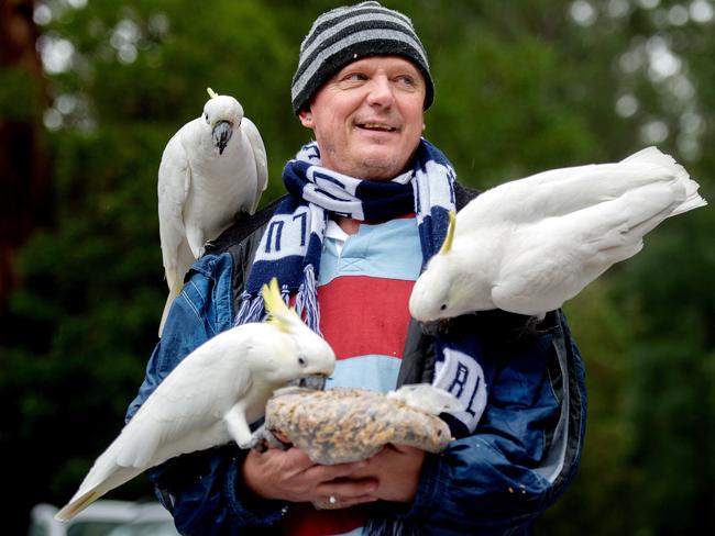 Bird lover at Nick Seri braves the rain at Grants Picnic ground.