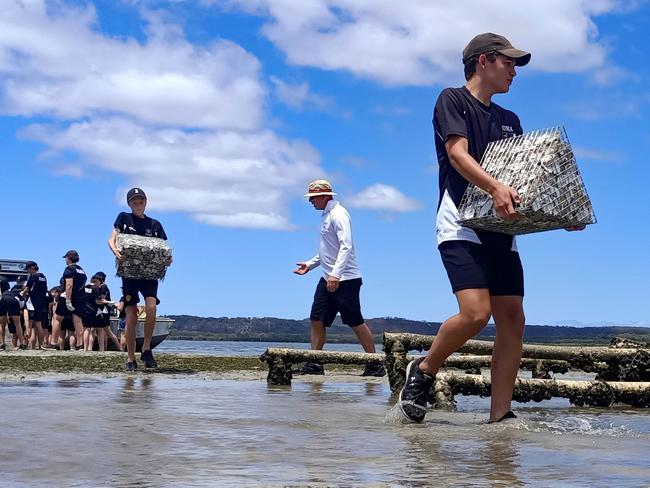 Shellfish Restoration – Moreton Bay Queensland,  , Today in many places in Australia, including Moreton Bay, shellfish reefs are considered functionally extinct. OzFish volunteers have been collecting, washing, and preparing tonnes of used oyster shells for the past four years in preparation to re-establish shellfish reefs that were once thriving. A 19.41-hectare site provided by the Port of Brisbane has been approved for restoration in Moreton Bay, Quandamooka Country. OzFish’s volunteers will deploy the first Robust Oyster Baskets (ROBs). The ROBs are used as base structures for ground-breaking shellfish restoration developed in Queensland by OzFish volunteers and local school students. There will be 50,701 ROBs placed in the bay over the next 6 years to create the reef.  This project will do more than improve water quality in the bay - it will rejuvenate aquatic life, improve fishing and fish productivity, seagrass growth and biodiversity. Every hectare of living shellfish reef produces an additional 2.5 tonnes of harvestable fish every year. Picture: supplied