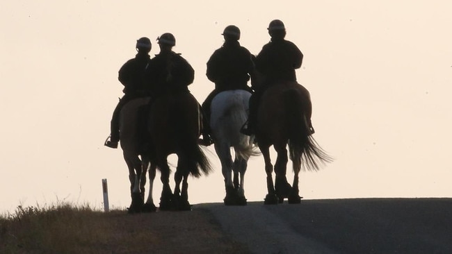 The mounted police are part of the search efforts. Picture: The West Australian