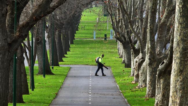 A council worker in Melbourne park emptied by the lockdown. Picture: Aaron Francis