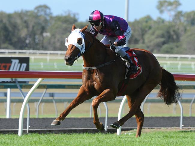 Another Whiskey scores a comfortable win at the Sunshine Coast. Picture: Grant Peters, Trackside Photography