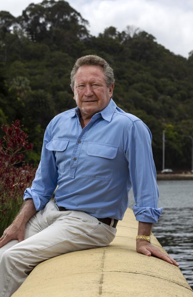 Andrew ‘Twiggy’ Forrest. Picture: Marie Nirme