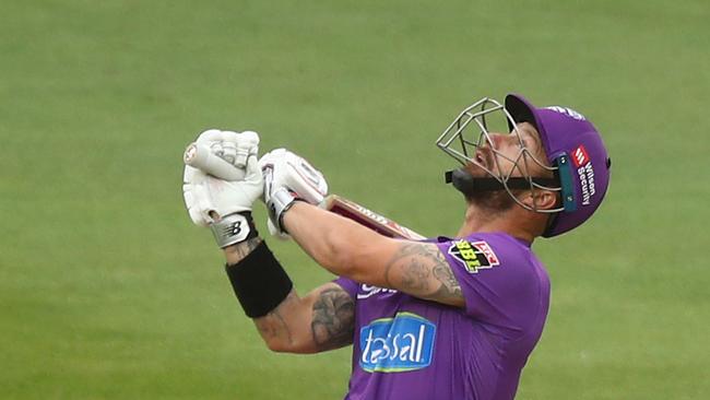 Matthew Wade looks skyward.