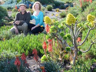 This is Michele and Attila Kapitany's garden at their property at The Lough Crt in Narre Warren North. For a Spring Gardening spread in Berwick, Cranbourne and Dandenong Leader.Picture: Lawrence Pinder