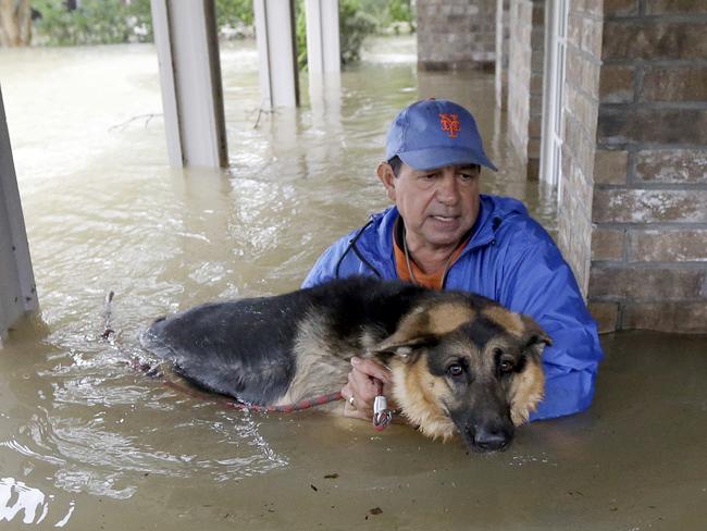 Joe Garcia carries his dog Heidi from his flooded home as he is rescued from rising floodwaters from Tropical Storm Harvey on Monday, Aug. 28, 2017, in Spring, Texas. Picture: AP