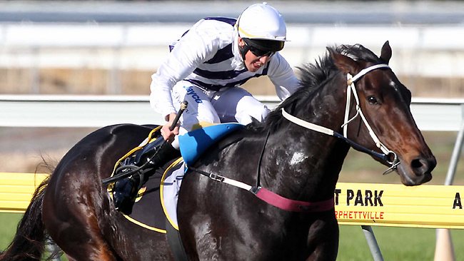 Hype on Puissance De Lune, but in-form Budriguez has right credentials ...