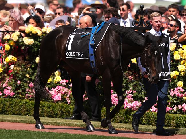 MELBOURNE, AUSTRALIA - NOVEMBER 07: Gold Trip is seen ahead of the Lexus Melbourne Cup during Melbourne Cup Day at Flemington Racecourse on November 07, 2023 in Melbourne, Australia. (Photo by Kelly Defina/Getty Images)