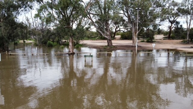 Cadell riverfront, Oct 2022. Picture: Cody Campbell