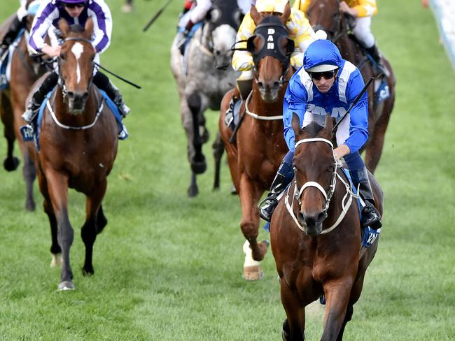 Winx’s quest for champion status and possible Horse of the Year honours begins on Saturday. Picture: Jay Town